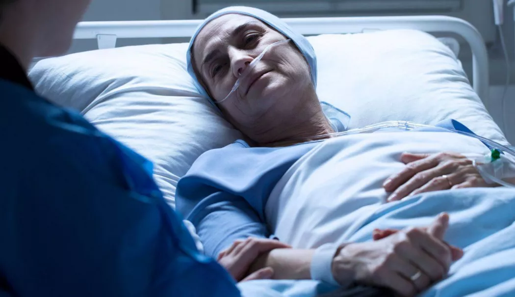 Sănătatea devine preventivă. Priorități noi pentru HIV, cancer și copii - x-preventia-1766495058.webp