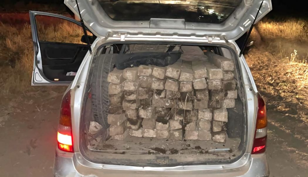 Prinşi de poliţiştii din Murfatlar, după ce au furat zeci de şpalieri dintr-o fermă din oraş