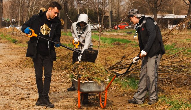 Spațiul verde din curtea Palatului Copiilor Constanța a fost revitalizat