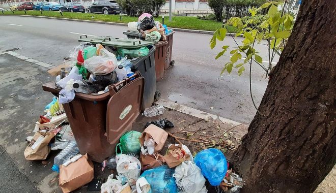 Constănțean amendat pentru gunoaiele aruncate pe stradă - x-sanctiune-1695208621.jpg