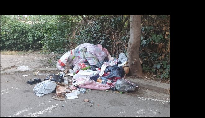 Amenzi pentru constănţenii care aruncă gunoaiele pe stradă - x-sanctiuni-1691670199.jpg