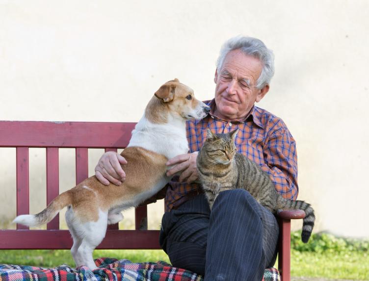 Peste o sută de vârstnici, premiați, luna aceasta, de Primăria Constanţa - x-seniori-1750759703.jpeg