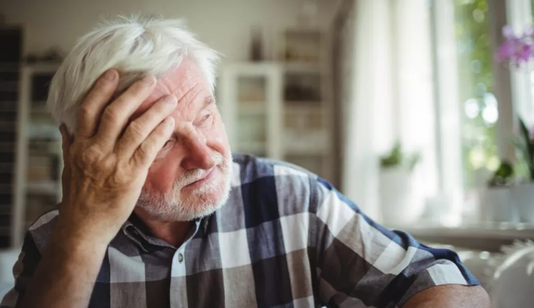 Constanța își răsplătește seniorii. Peste o sută de vârstnici primesc stimulente financiare de la primărie - x-seniori-1779795265.webp