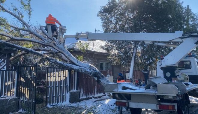 Copacii doborâţi de vânt sunt adunaţi de pe străzi - x-sesizari-2-1701093375.jpeg