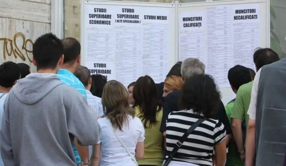 Peste 6.500 de persoane au participat, anul acesta, la cursuri de formare profesională - x-someri-1750331912.jpg