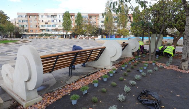 Spațiile verzi din municipiul Constanța prind culoare - x-spatii-verzi-1-1698847688.jpeg