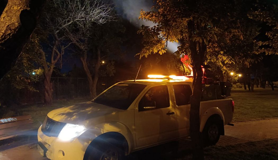 Se aplică tratamente fitosanitare în  toate zonele verzi din municipiul Constanța - x-tratamente-1716554649.jpeg