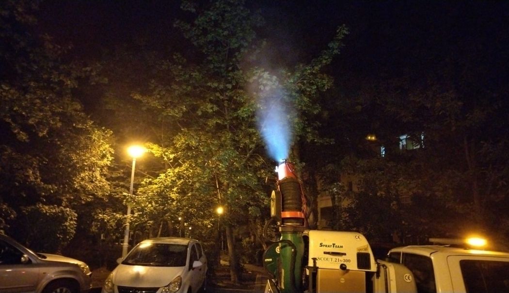 Arborii și arbuștii din parcuri sunt curăţaţi de dăunători