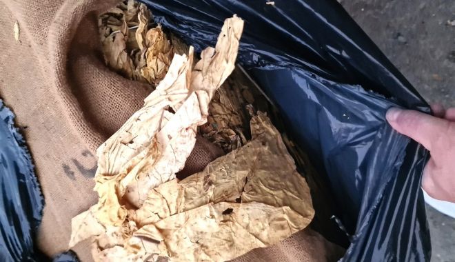 Contrabandiști inventivi! Tone de tutun ascunse sub cutii cu ardei capia, găsite de Garda de Coastă
