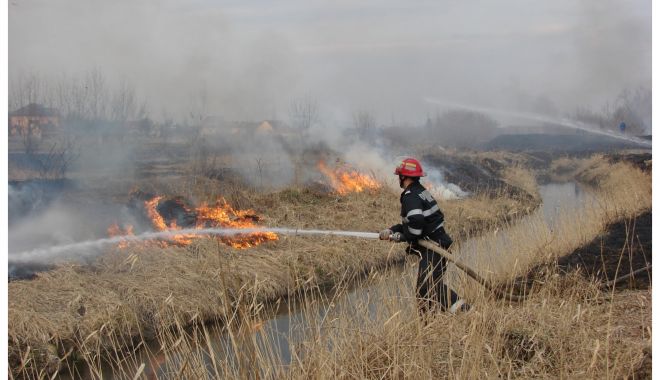 ISU Dobrogea atrage atenția: iată ce măsuri trebuie luate la arderea deșeurilor sau vegetației uscate - x-vegetatie-incendiu2-1679563141.jpg