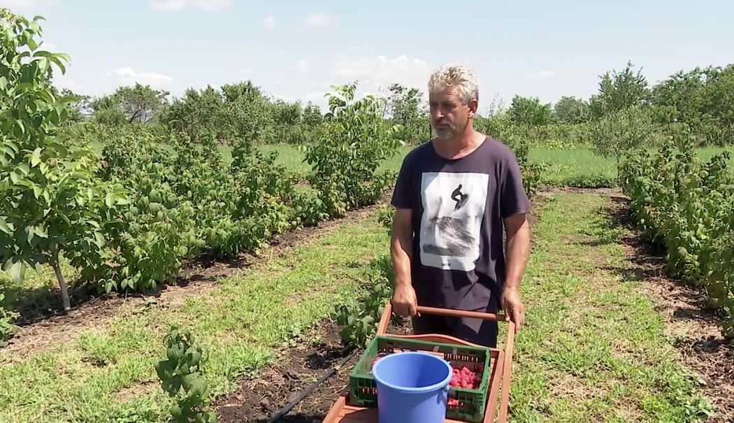 Zilierii și salariații temporari, la control! Zeci de amenzi aplicate