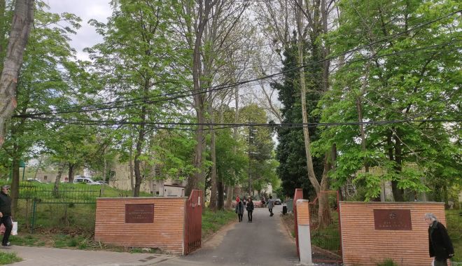 Cum sărbătoresc artiștii plastici Ziua Constanței