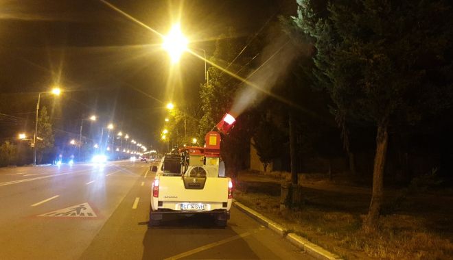 Acțiunea de dezinsecție din cartierele constănțene continuă - xdezinsectie-1656504045.jpg