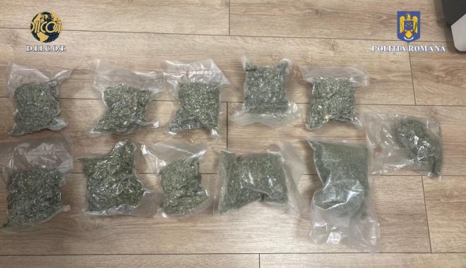 Percheziții la Constanța și București. Un kilogram de cannabis, vândut cu 6.000 de euro - xdroguriconstanta2-1644593965.jpg