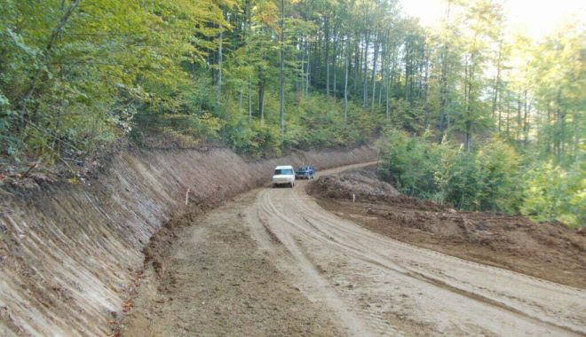 Controale pe drumurile forestiere. Ce urmăresc verificările Inspecţiei Muncii - xdrumuri-1677410824.jpg