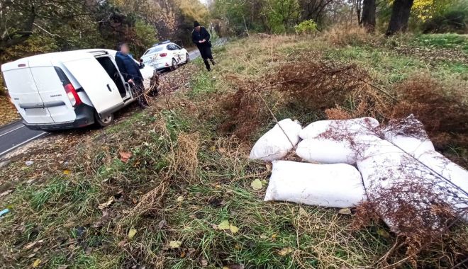 Hoți de cereale, prinși de polițiștii locali constănțeni - xhoticereale-1670493718.jpg