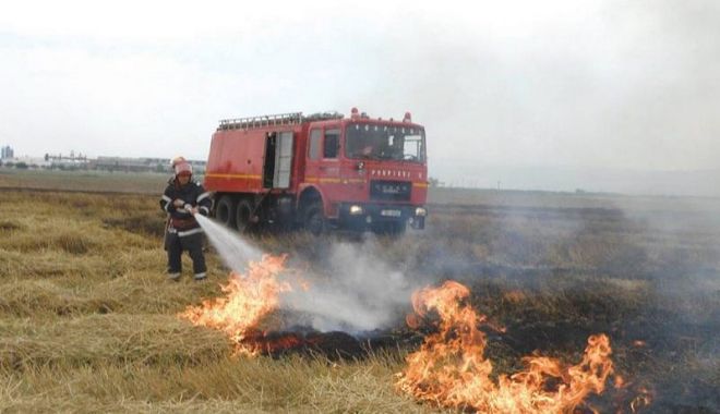 ZECI DE HECTARE din județul Constanța, MISTUITE DE FLĂCĂRI - xincendiistatisticavegetatie-1658744960.jpg
