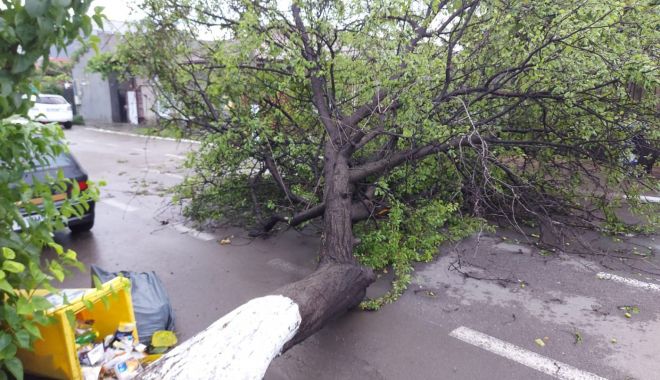 OFICIAL. CASE şi MAŞINI AVARIATE, COPACI CĂZUŢI, BISERICĂ INUNDATĂ! Ce au lăsat în urmă, la Constanţa, cele cinci avertizări meteo