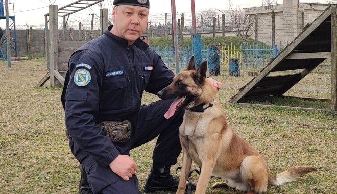 Jack, partener canin de nădejde al jandarmilor de la Gruparea Mobilă „Tomis” - xjandarmicaine-1648640534.jpg