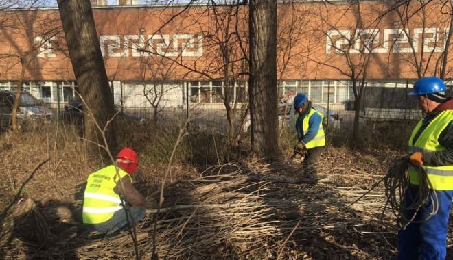 Lucrări de îngrijire a spaţiilor verzi, în mai multe zone din Constanţa - xlucrarideingrijire-1642595297.jpg