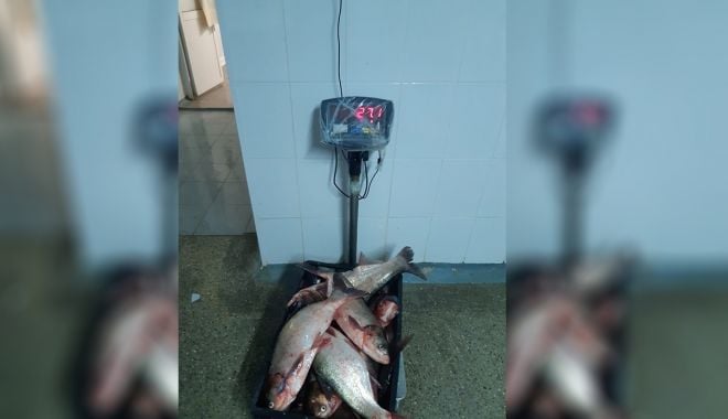 Braconaj piscicol în zona Rezervației Biosferei Delta Dunării - xpestegarda-1634294326.jpg
