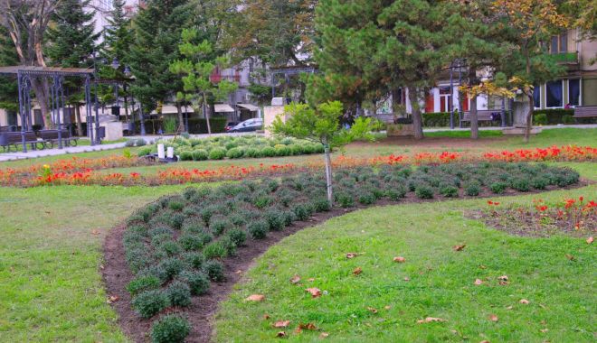 Au început plantările de toamnă prin cartierele Constanţei