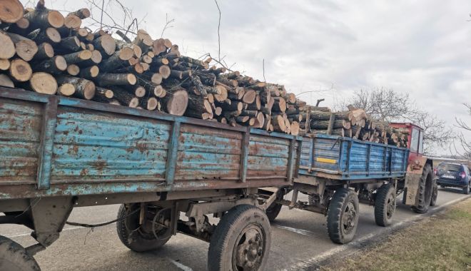 Prins de jandarmi cu şapte metri cubi de lemne fără acte! În plus: „şofer” fără permis, remorcă neînmatriculată - xprinsdejandarmi-1671108539.jpeg