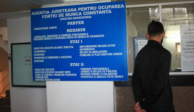 Rata şomajului a ajuns la 2,56% - xrata-1661864408.jpg