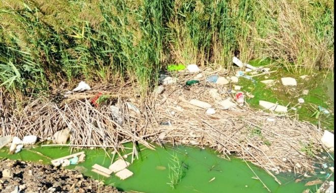 Deşeuri îngropate în Lacul Techirghiol. Garda de Mediu a depus o  sesizare penală - xsesizarijpg233-1663848059.jpg