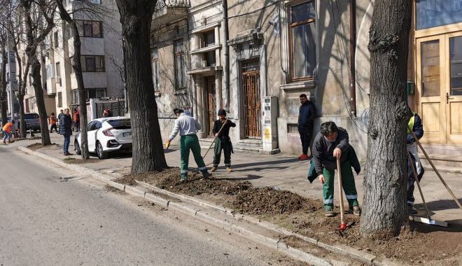 Spaţiile verzi din Constanţa, curăţate şi reamenajate - xspatiileverzi-1647433125.jpg