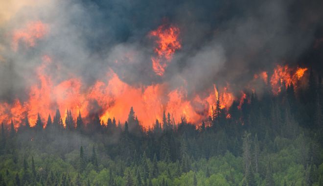 Emisiile de carbon provocate de incendiile din Canada au atins o cantitate record în 2023