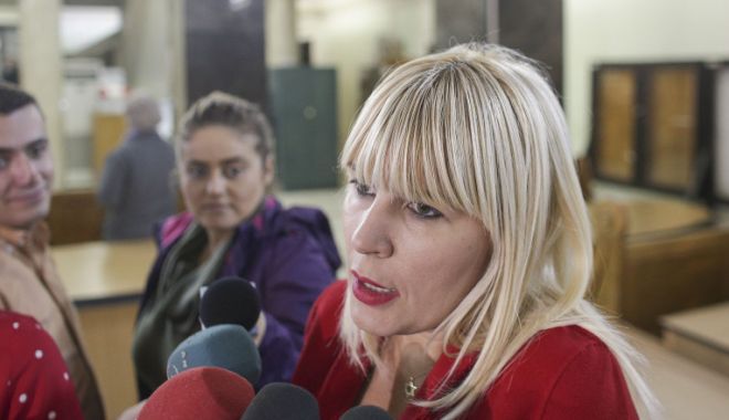 Elena Udrea, audiată de judecători. Autoritățile bulgare pot decide dacă va fi extrădată în România