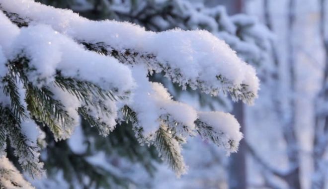 Locul din România unde stratul de zăpadă măsoară 15 centimetri - zapada-1588589492.jpg