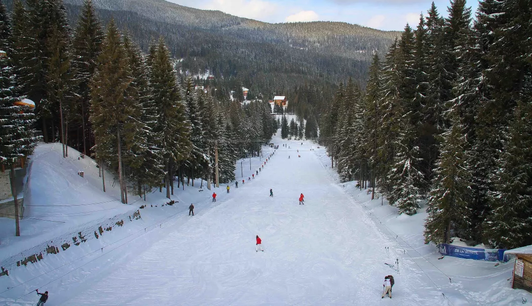 Foarte mulți turiști și-au anulat vacanțele la munte din cauza lipsei zăpezii - zapada-1766490534.webp