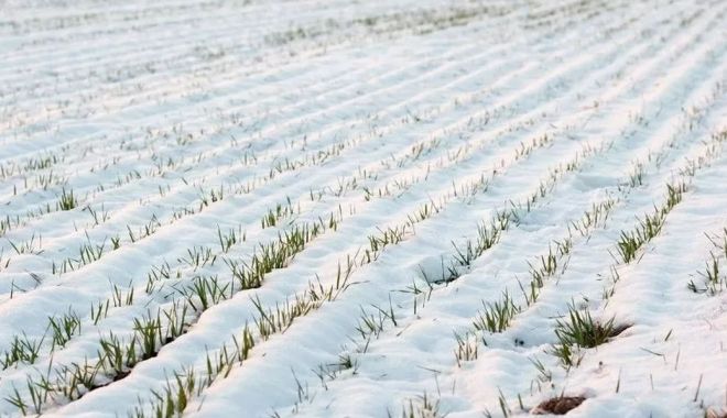 Ploile din ultimele zile au refăcut rezerva de apă din sol în majoritatea regiunilor agricole
