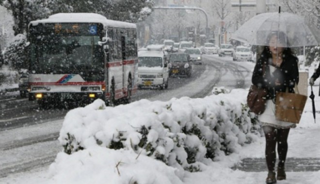 Premieră în ultimii 45 de ani: Condiții meteorologice excepționale în Japonia - zapadajaponiapoza81268700-1392634800.jpg