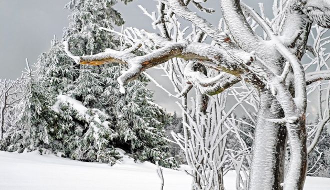 O furtună de zăpadă în Scoţia a lăsat circa 2.800 de locuinţe fără curent electric - zapadascotia-1671115917.jpg