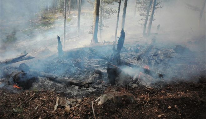 Zeci de hectare de pădure, mistuite de flăcări. Romsilva, semnal de alarmă privind incendierea miriștilor - zecidehectare-1648464564.jpg
