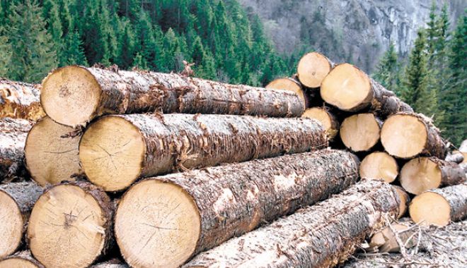 Legea care interzice pentru 10 ani exportul de buștean în spațiul extracomunitar a fost promulgată - ziar-1589540095.jpg