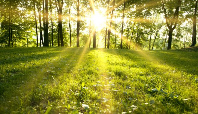 METEOROLOGII, DESPRE CÂND SE VA ÎNCĂLZI VREMEA. Prognoza pentru următoarele patru săptămâni