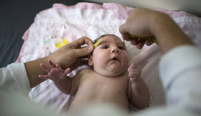 Șase femei însărcinate, diagnosticate  cu virusul Zika în Mexic - zika-1455720783.jpg