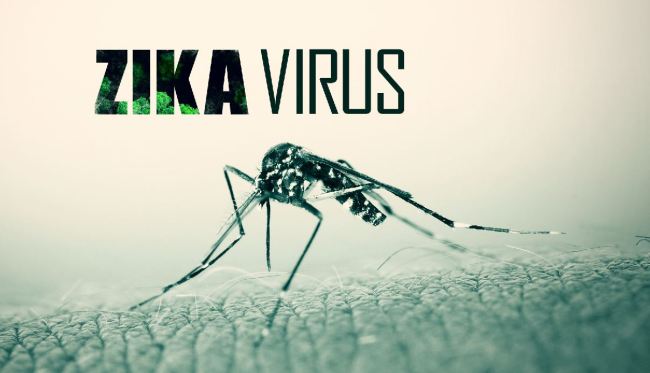 OMS: Zika nu mai e o urgență internațională - zika-1479543360.jpg