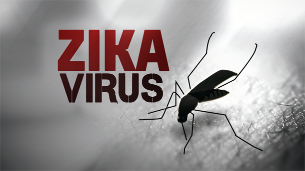 Coreea de Sud a confirmat primul său caz de infecție cu virusul Zika - zikavirus610png-1458634149.jpg
