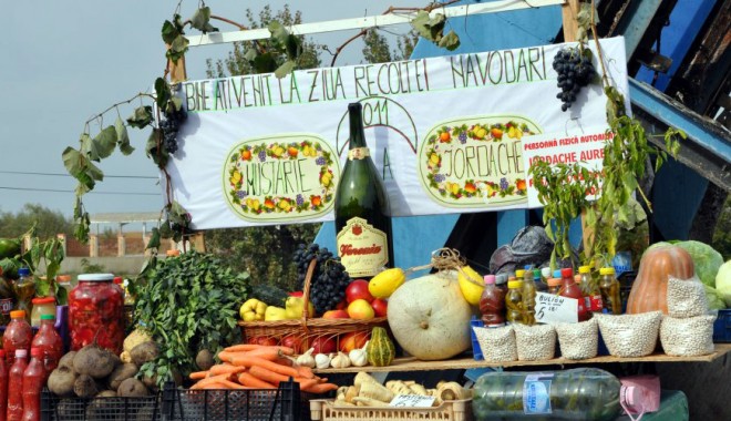 Concursuri și voie bună  la zilele recoltei în Năvodari - zilelerecolteinavodari-1319376941.jpg