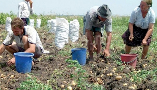 Angajezi zilieri? Grijă mare la contract - zilieri-1502804933.jpg