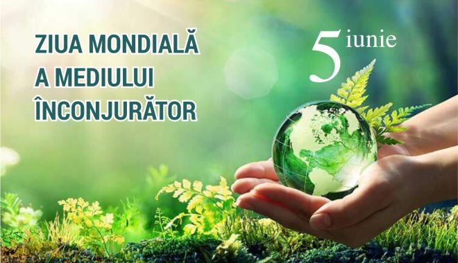 De Ziua Mondială a Mediului, se militează pentru o informare corectă asupra reciclării