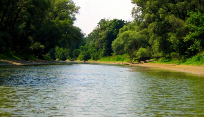 Copiii vor ecologiza Dunărea - ziuadunarii-1435165840.jpg