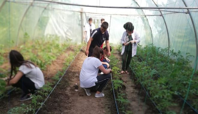 Ziua Mondială a Mediului, marcată de elevii Liceului Agricol Poarta Albă - ziuamondialaamediului-1559847564.jpg