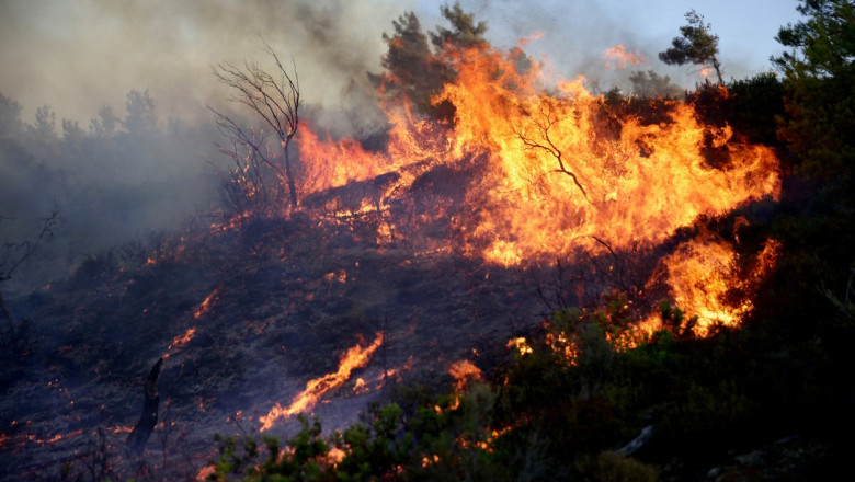 Un incendiu de pădure, declanşat de un foc de artificii de pe un iaht