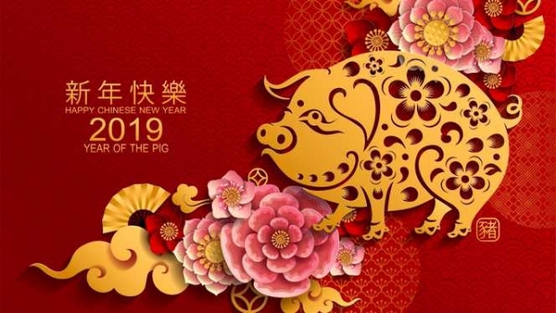 ÎNCEPE ANUL NOU CHINEZESC. PREVIZIUNI IMPORTANTE PENTRU PERIOADA URMĂTOARE - zodiacchinezesc2019158158800-1549278343.jpg